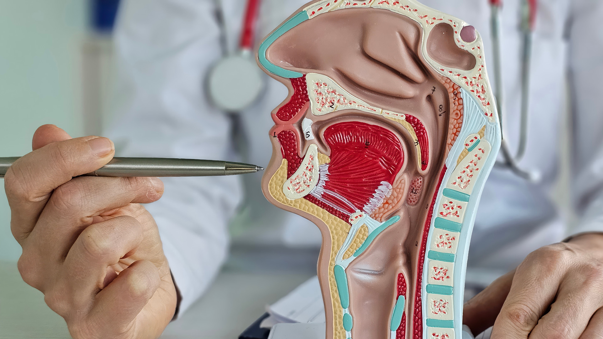 Facial Trauma